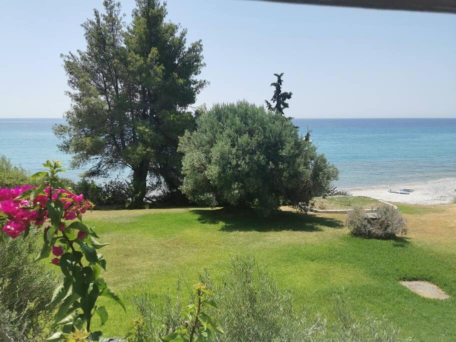 Apartment απέραντο γαλάζιο Le Grand Blue *
