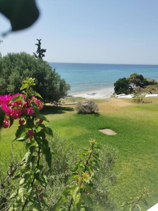 απέραντο γαλάζιο Le Grand Blue Apartment *