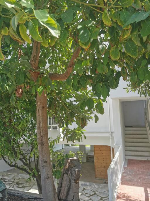 Appartement απέραντο γαλάζιο Le Grand Blue